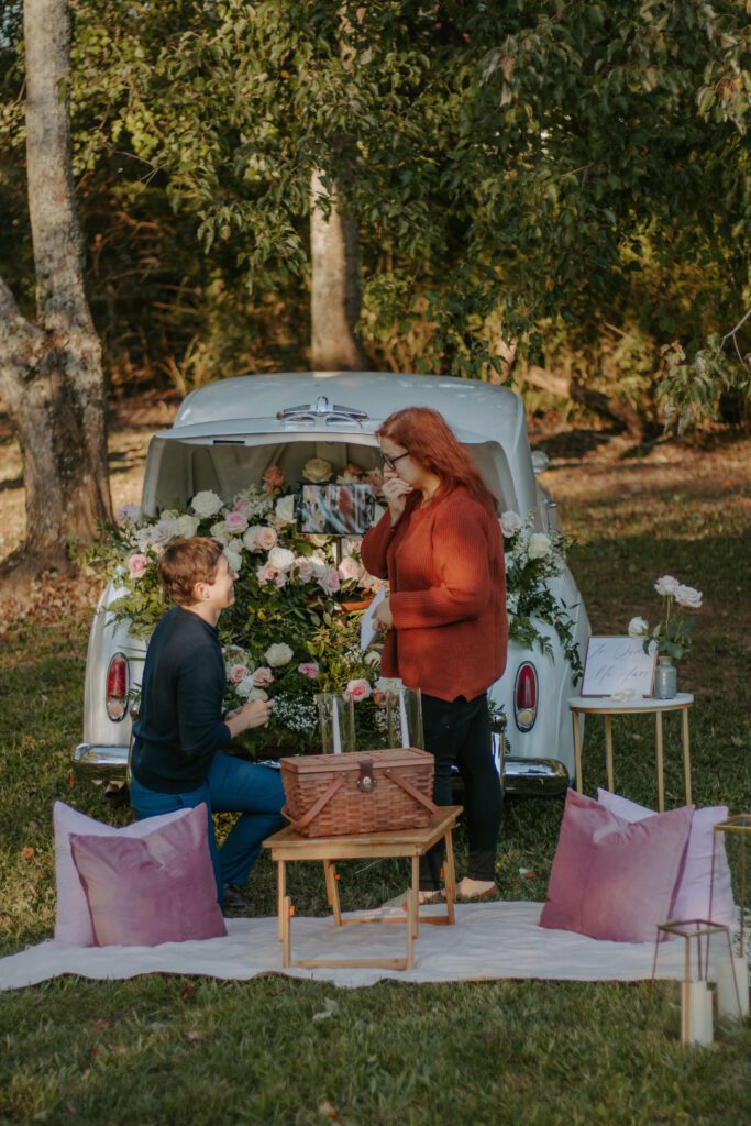 Drive-In Picnic Proposal- Roopville, Georgia 