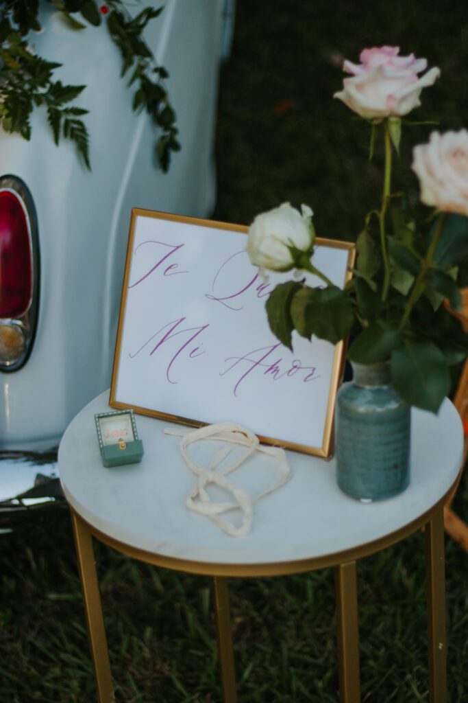 Decor for Proposal in Roopville, Georgia 