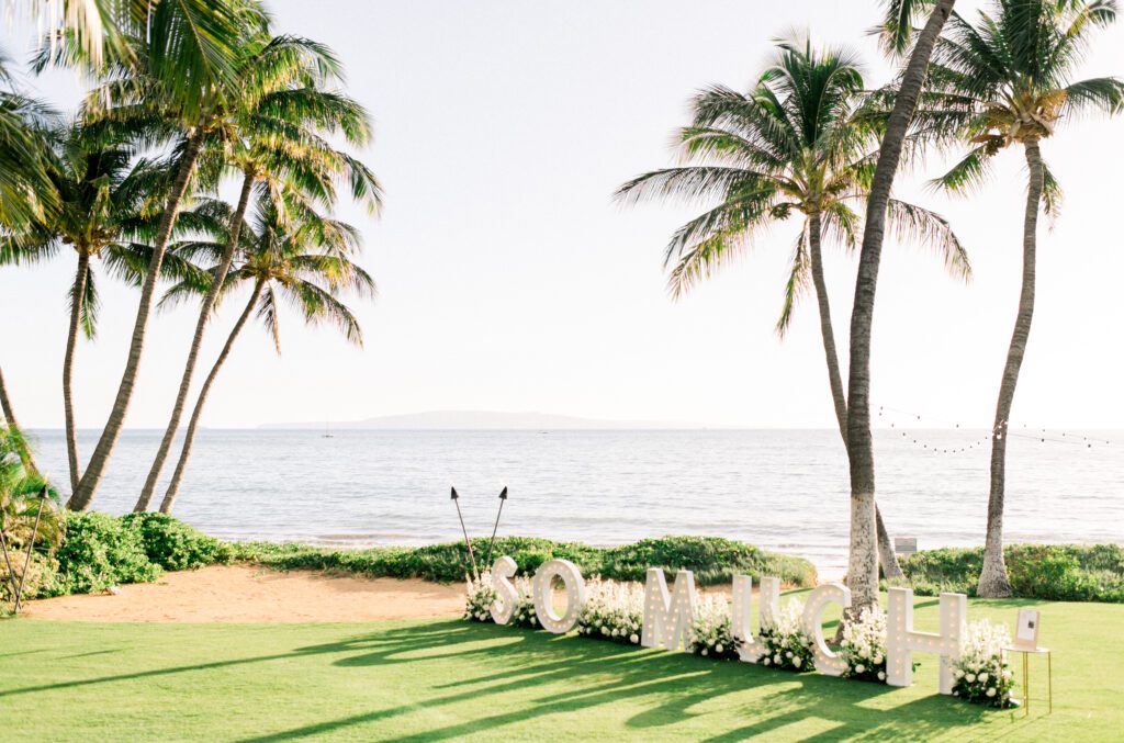 Maui Proposal 