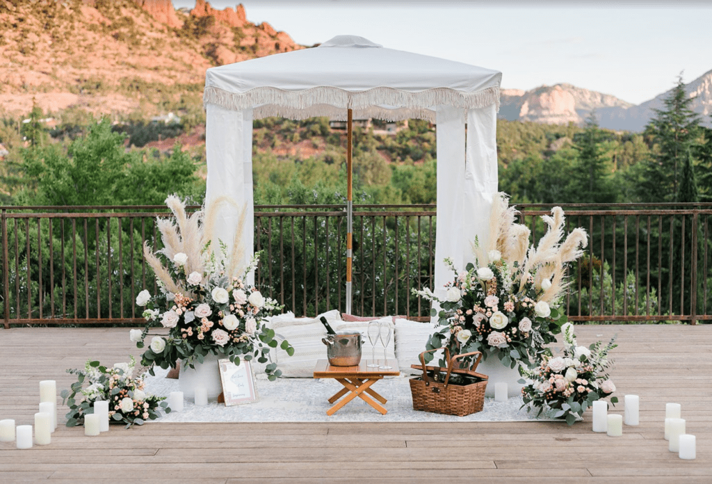 Picnic Proposal 