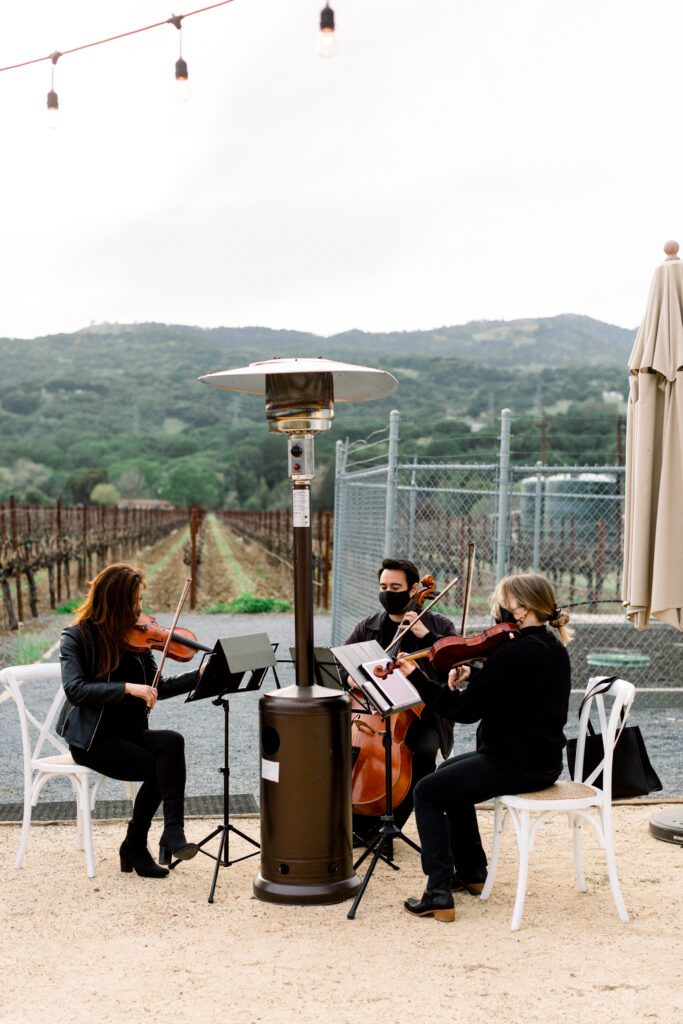 Live Music Marriage Proposal 