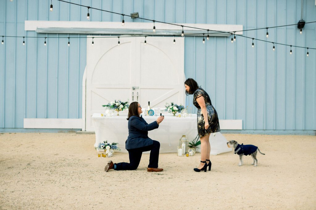 down on one knee marriage proposal