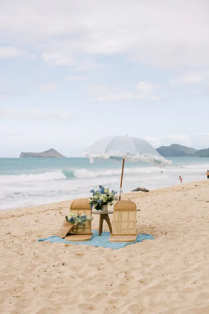 Marriage Proposal Beach Picnic Setup