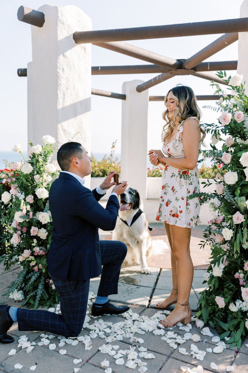 man down on one knee with puppy in back