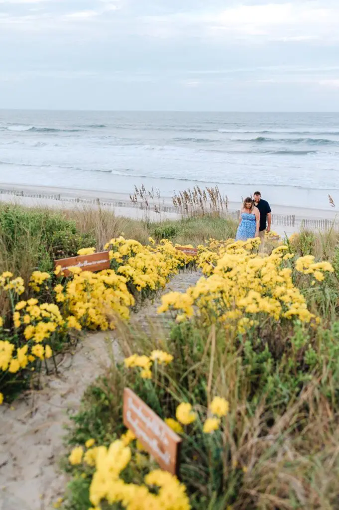 couple walking up yellow daisy walkways