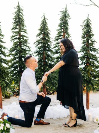 luxury winter wonderland proposal