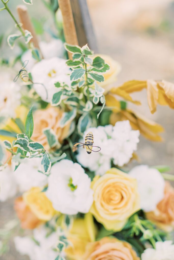 malibu proposal flowers for set up