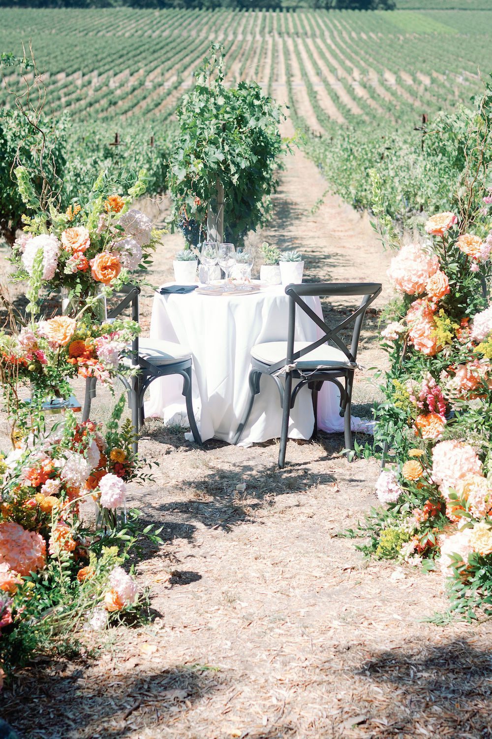 amazing private winery proposal in Napa by the yes girls