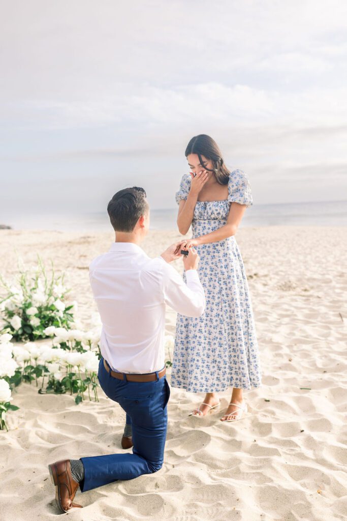 stunning private beach proposal in central coast ca