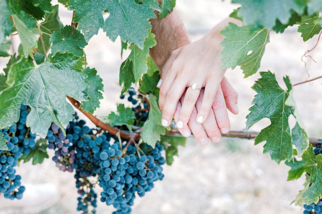 ring shot in napa