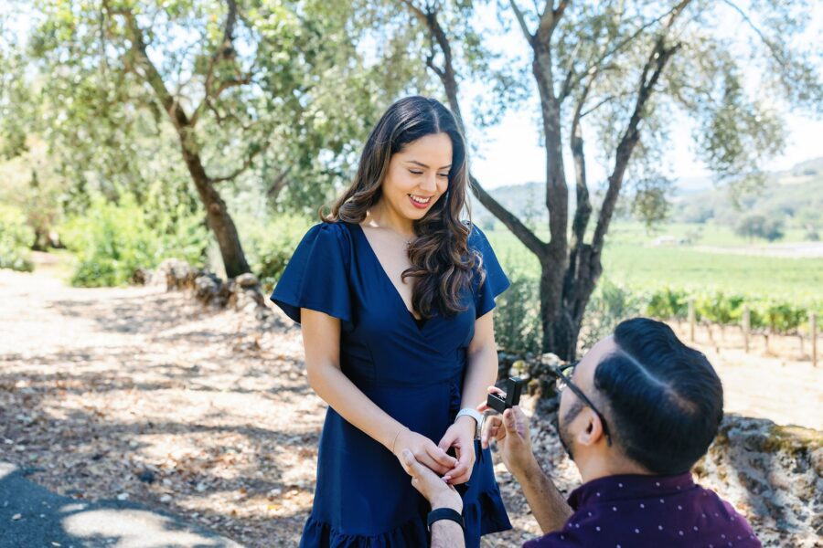 down on one knee Napa California Napa proposal secret garden proposal flower proposal private dinner private dinner in vineyard private dinner in napa custom wine glasses wine glass proposal