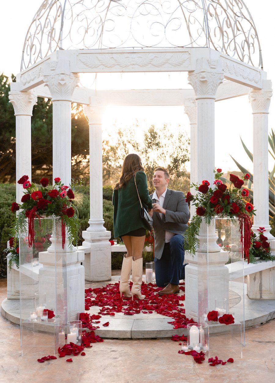 gorgeous gazebo proposal