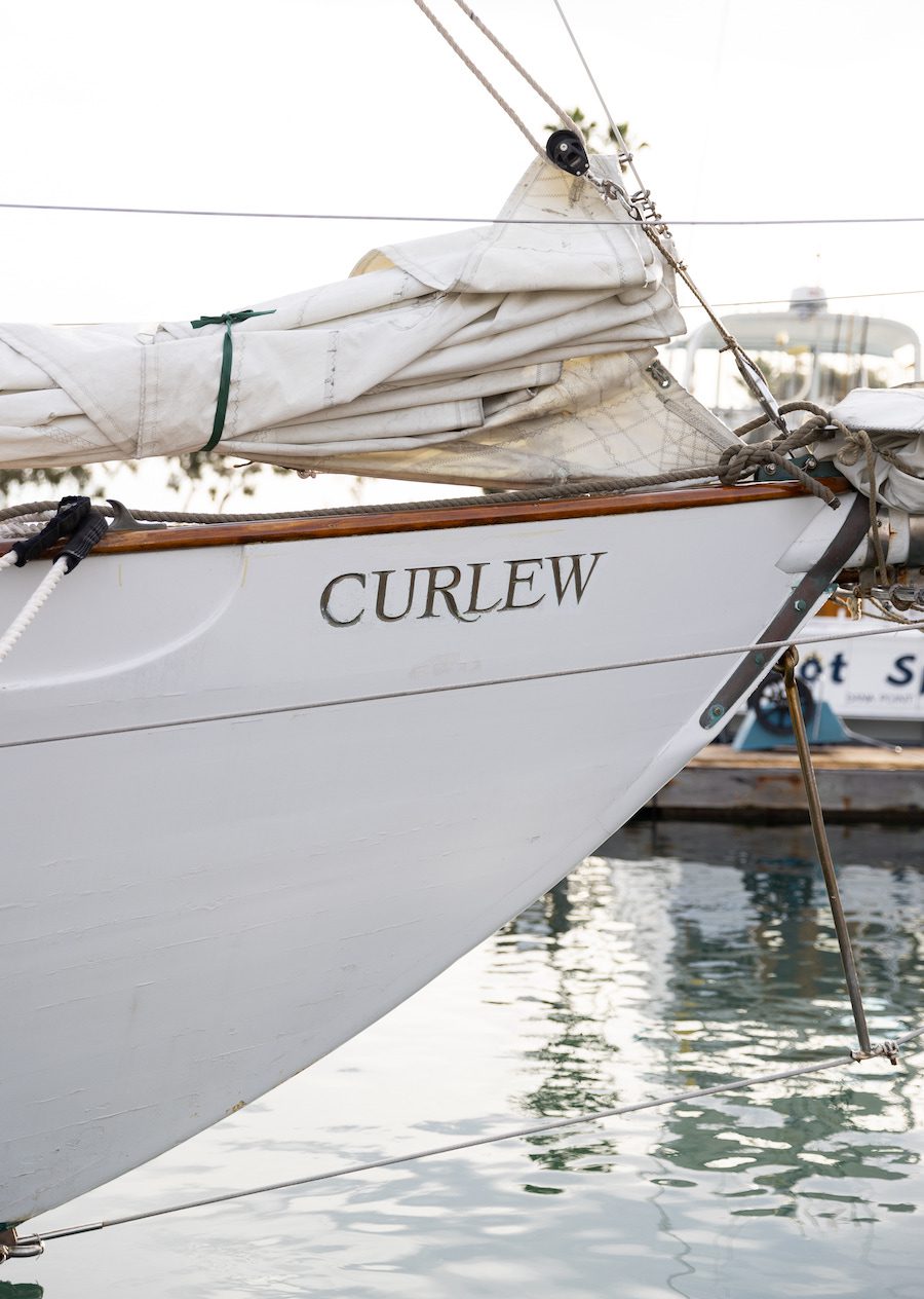 Stunning sailboat proposal in Dana Point California 