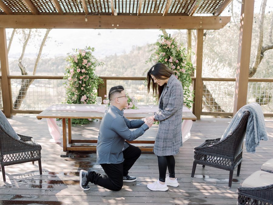 Intimate Napa Valley Wine Tasting Proposal, down on one knee shot