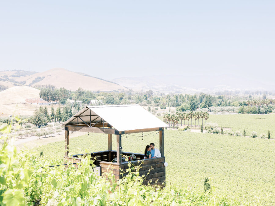 Viansa Winery in Napa, CA proposal