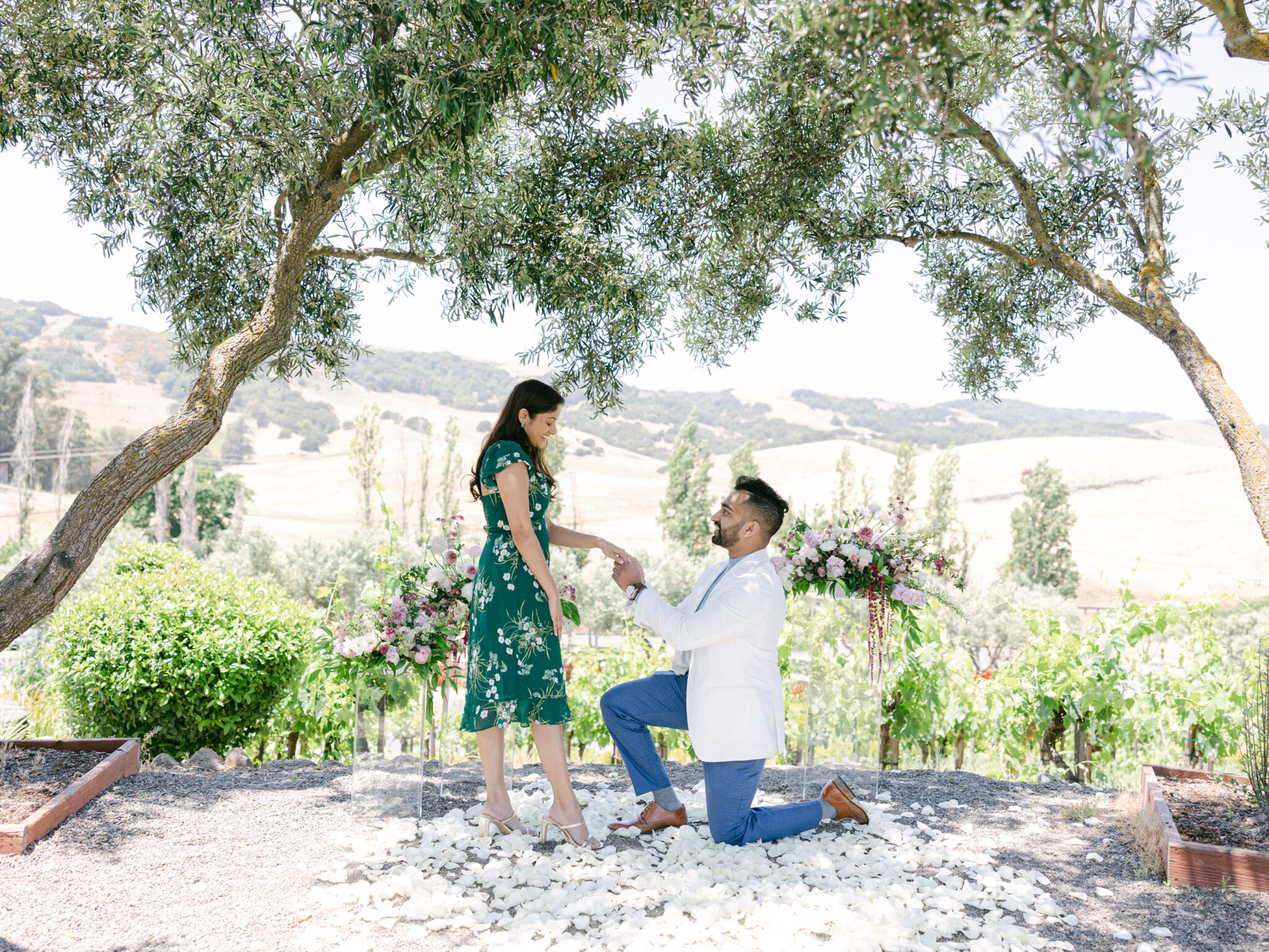 Romantic Private Vineyard Proposal in Napa by the yes girls