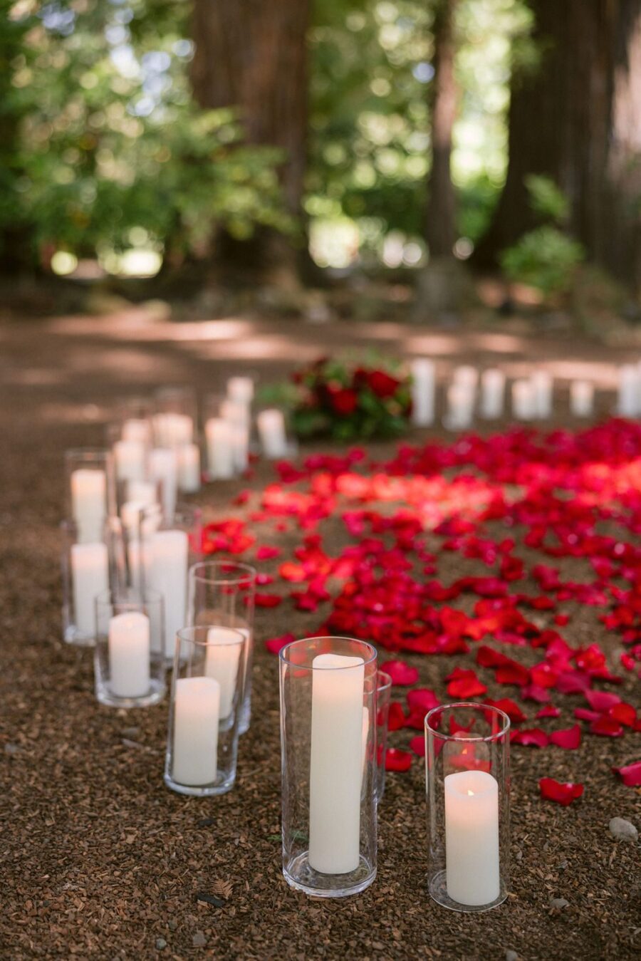 vineyard proposal winery proposal red proposal red flower proposal