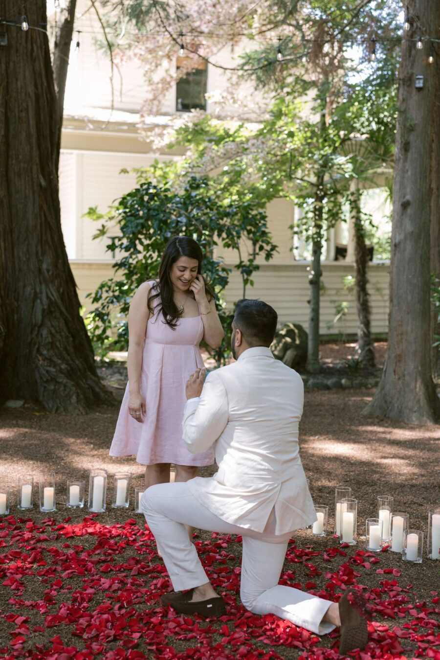vineyard proposal winery proposal red proposal red flower proposal