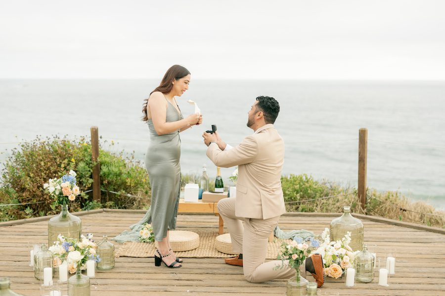 A Stunning Ocean View Picnic Proposal in OC California