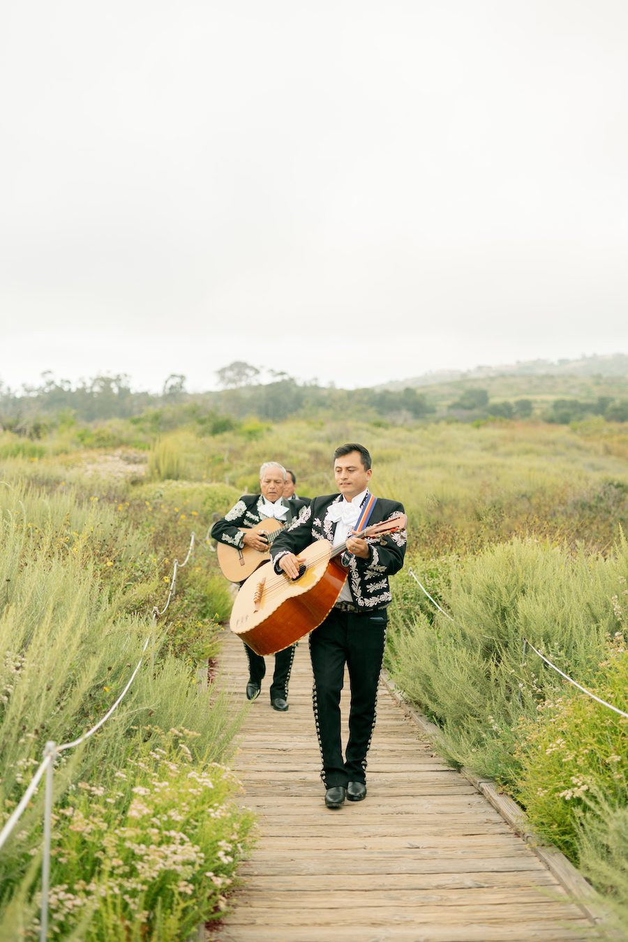 A Stunning Ocean View Picnic Proposal in OC California surprise Mariachi band 