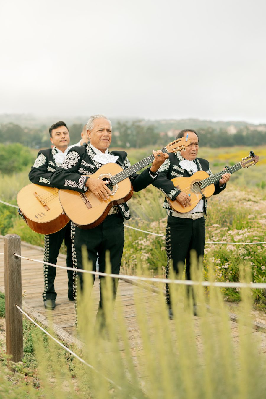 A Stunning Ocean View Picnic Proposal in OC California surprise mariachi band