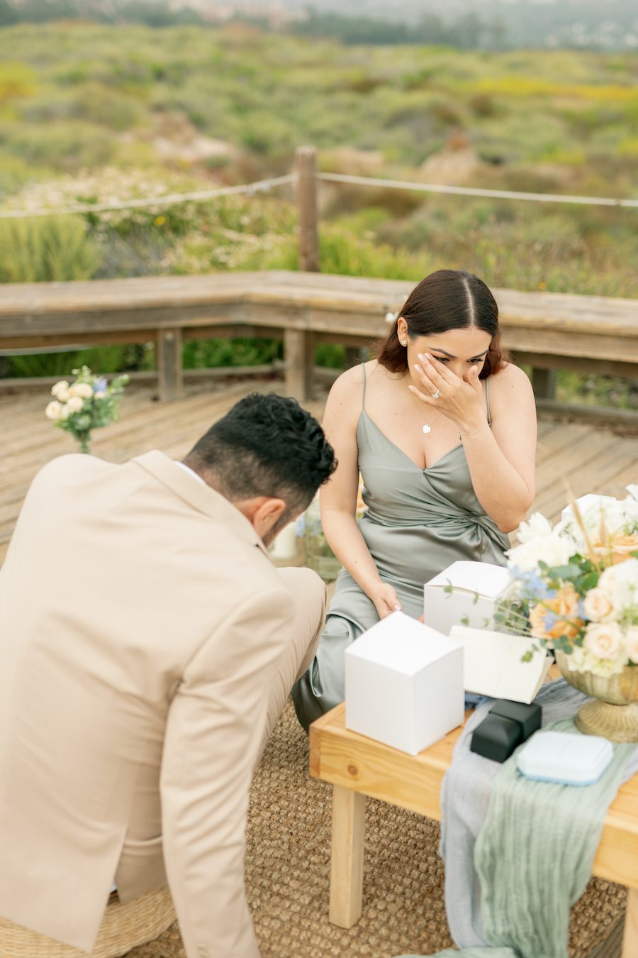 luxury Ocean View Picnic Proposal in OC California