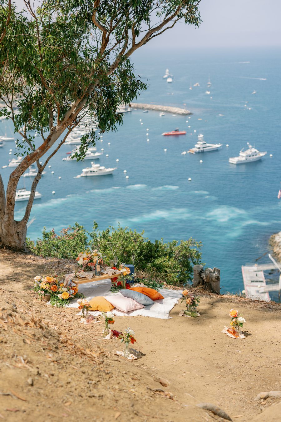 Private Picnic Proposal on Catalina Island. Charcuterie board, champagne, and picnic table set up for the proposal with an ocean view