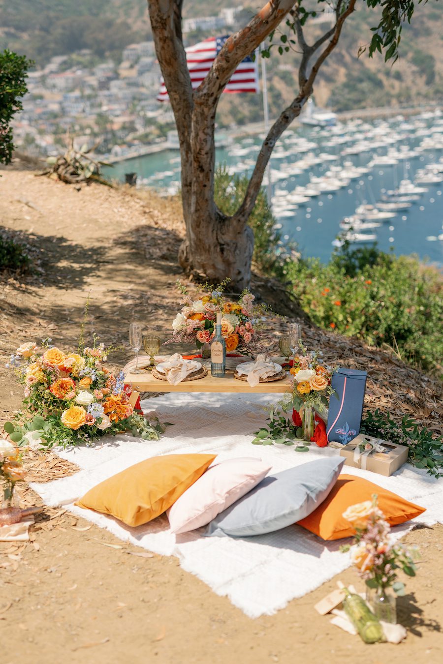 Private Picnic Proposal on Catalina Island. Charcuterie board, champagne, and picnic table set up for the proposal with an ocean view