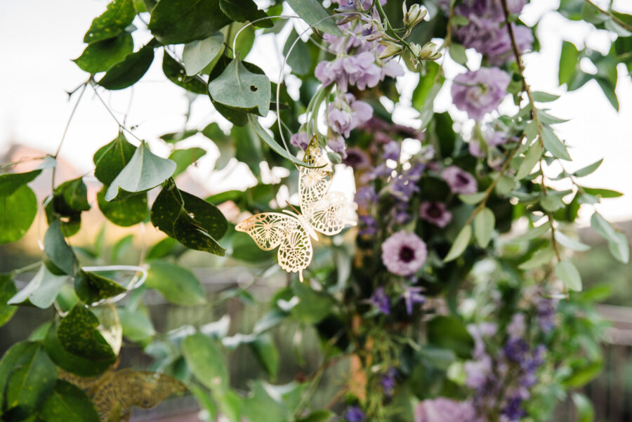 taylor swift proposal enchanted proposal taylor swift inspired proposal butterfly proposal