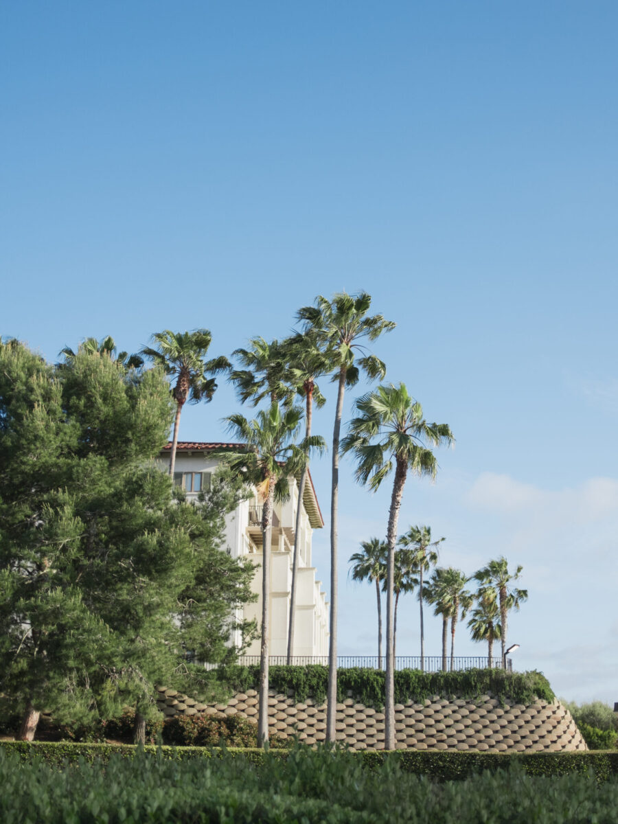 waldorf astoria monarch beach elopement waldorf astoria monarch beach wedding