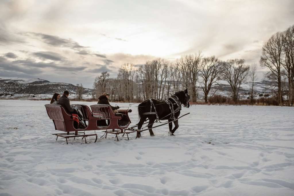 the yes girls christmas wedding christmas engagement christmas proposal winter inspired proposal romantic sleigh ride wedding sleigh ride
