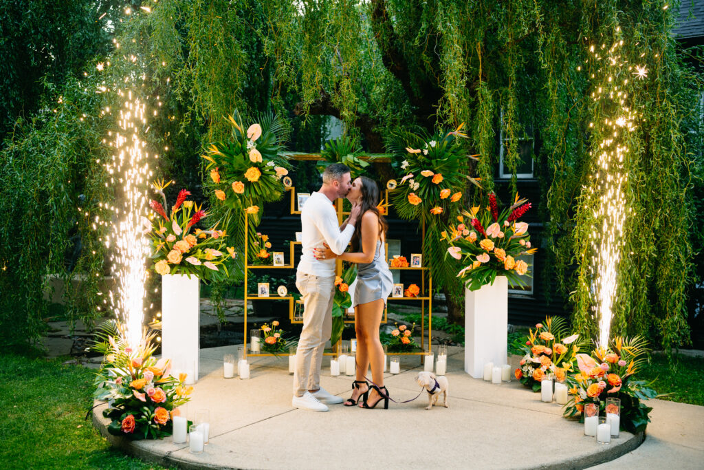 Illinois Proposal Planner