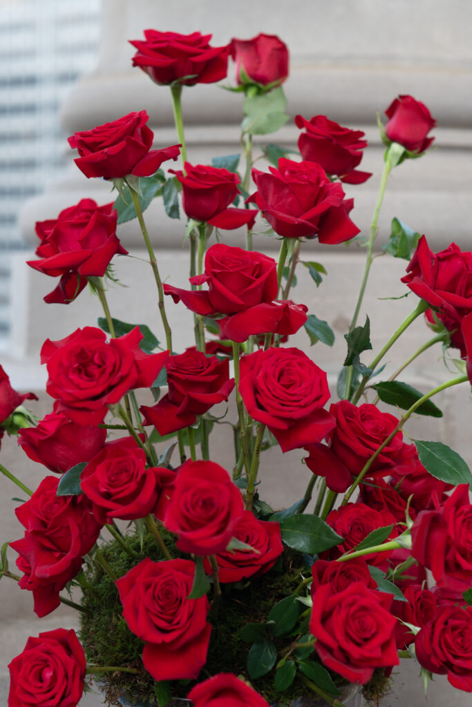 Illinois Proposal Planner