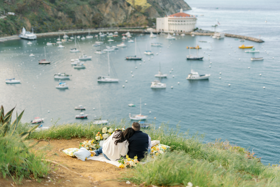 Proposal Packages: Catalina Island