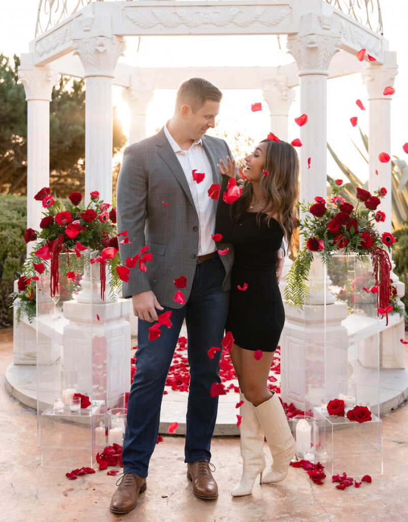 Standard Proposal Packages