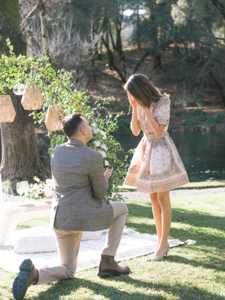 Popular Proposal Packages