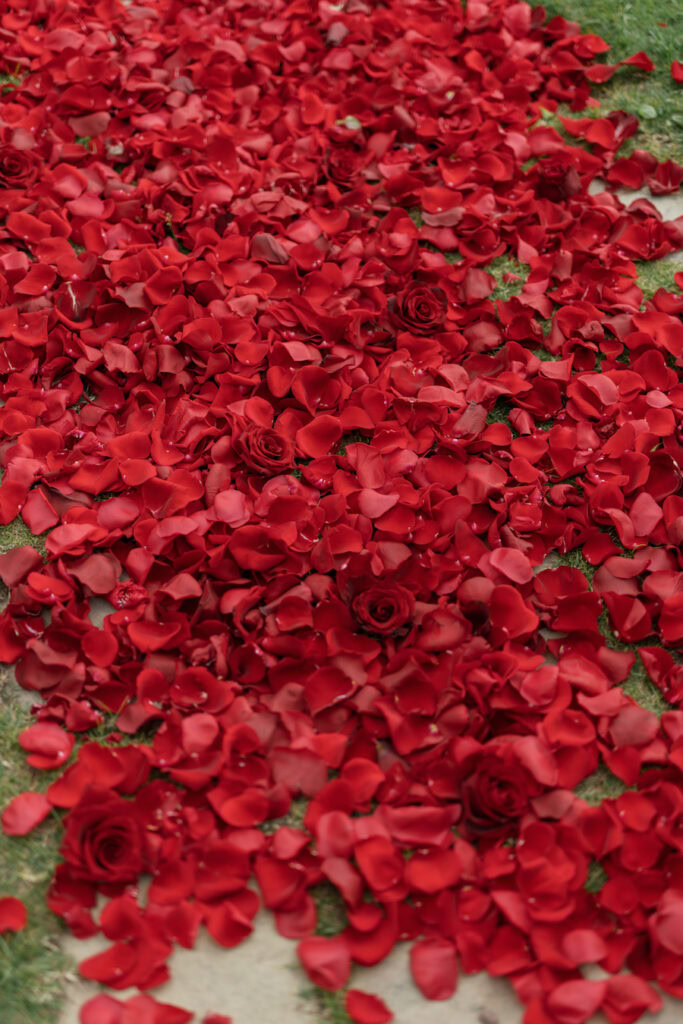 Red Rose Aisleway