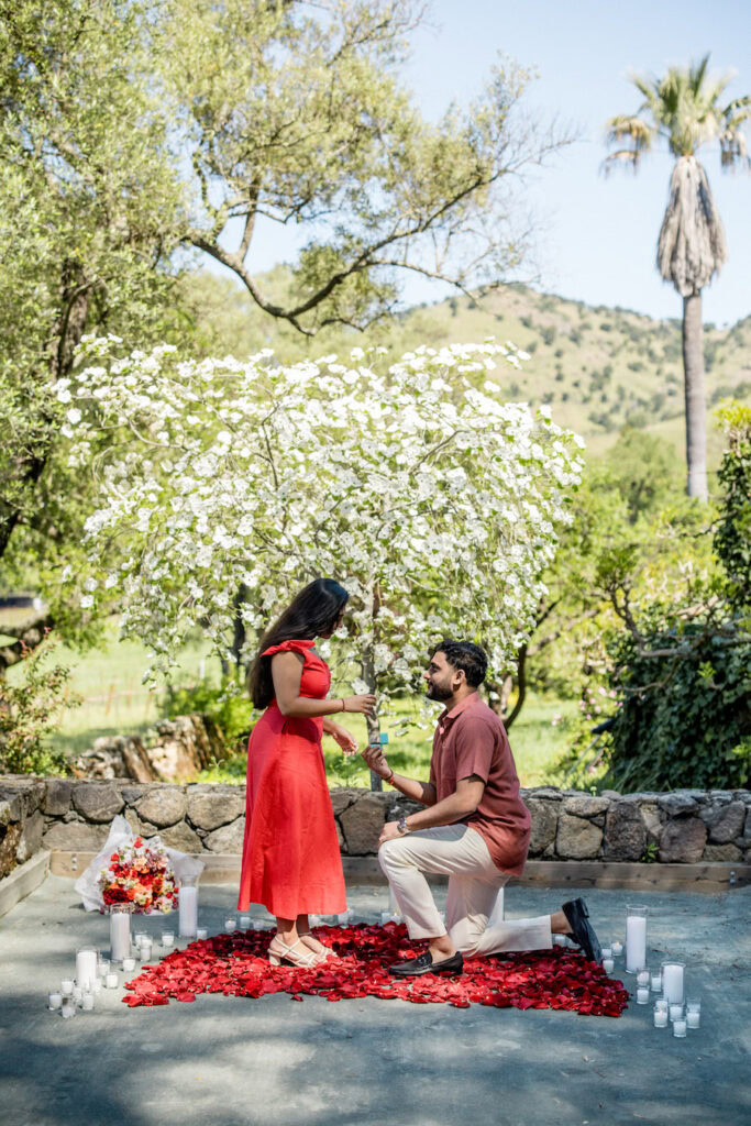 beautiful proposal in napa with red rose petals at a winery 