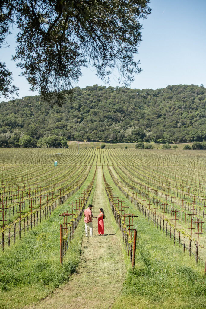 Napa Valley proposal at a Winery with The Yes Girls