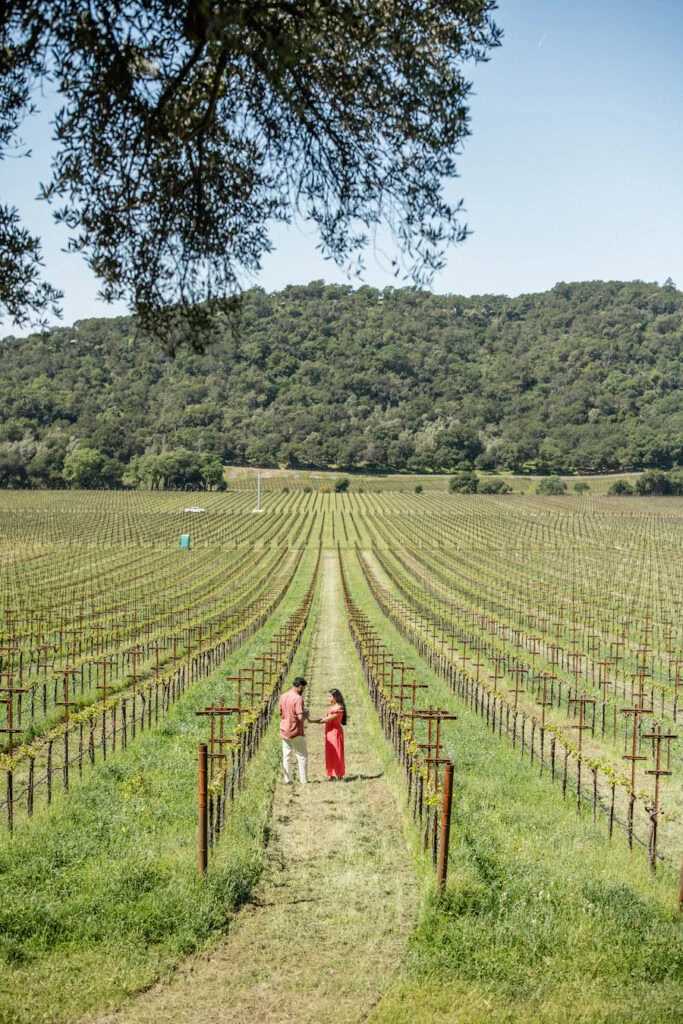 Napa Valley proposal at a Winery with The Yes Girls