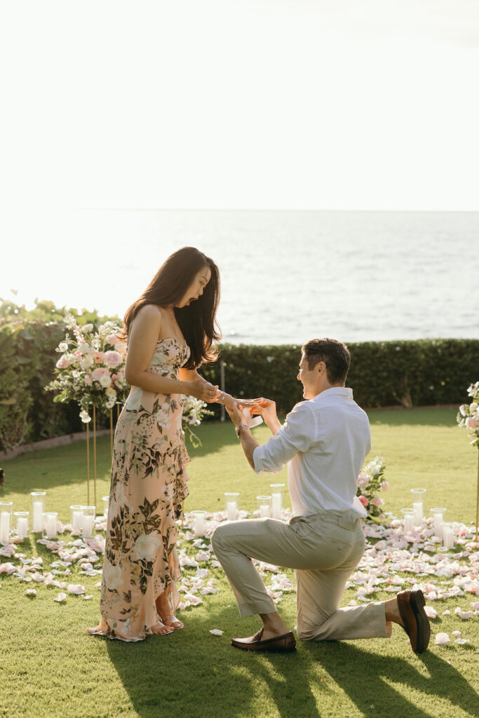 Hawaii Private Proposal