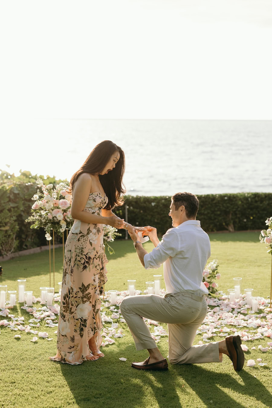 Hawaii Private Proposal