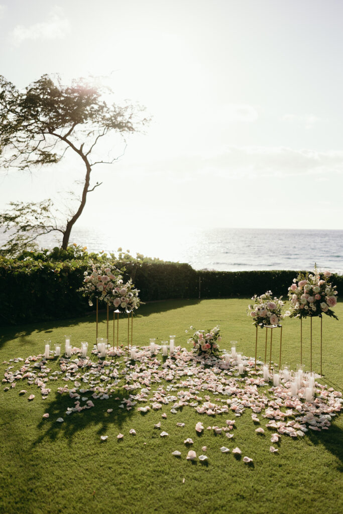 hawaii proposal set up