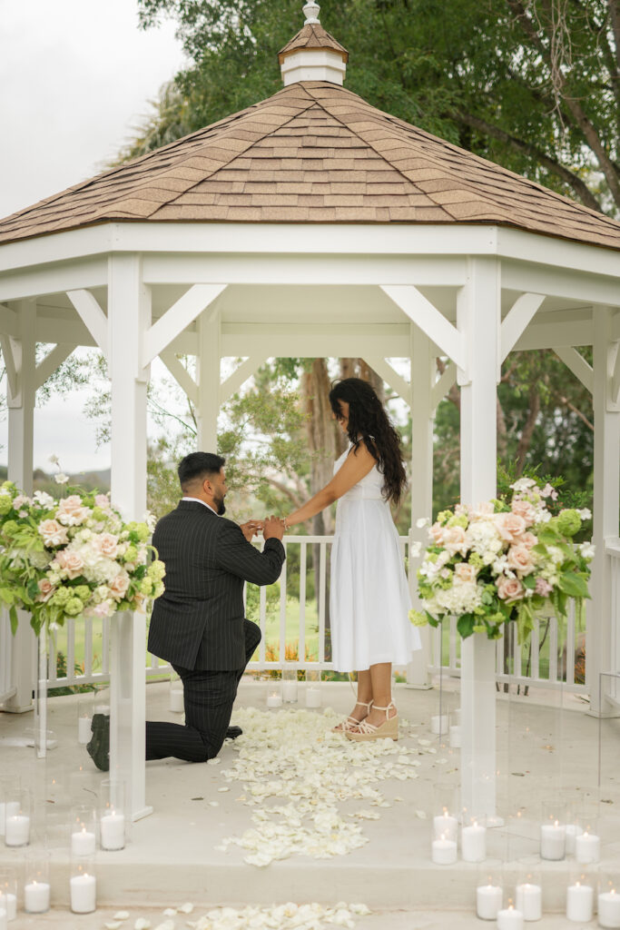 San Diego Gazebo Proposal Set Up
