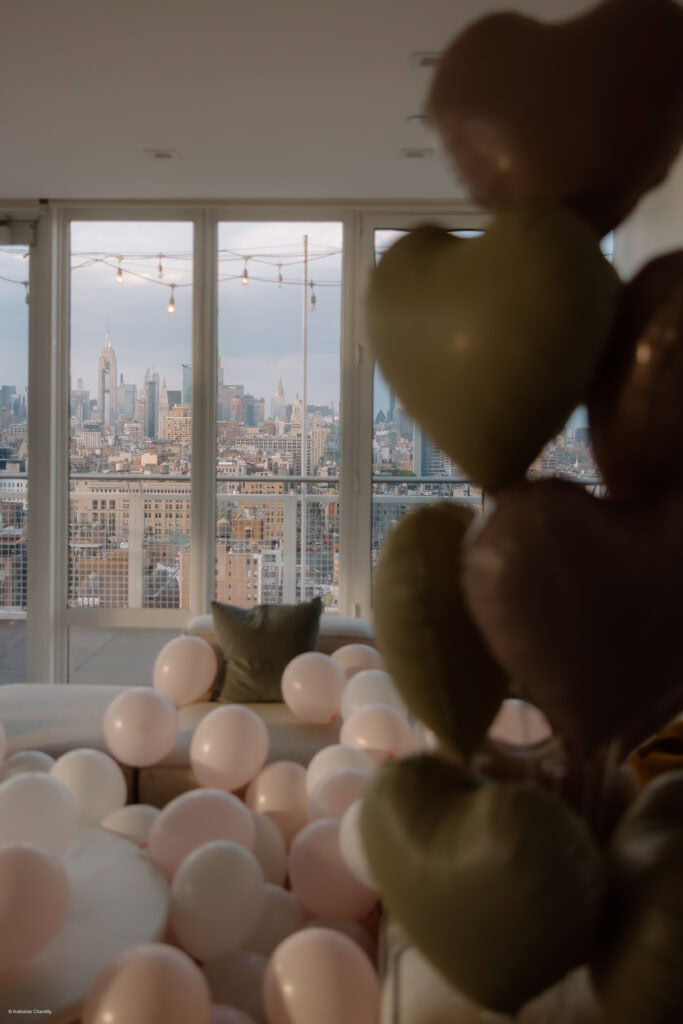 NYC Rooftop Proposal