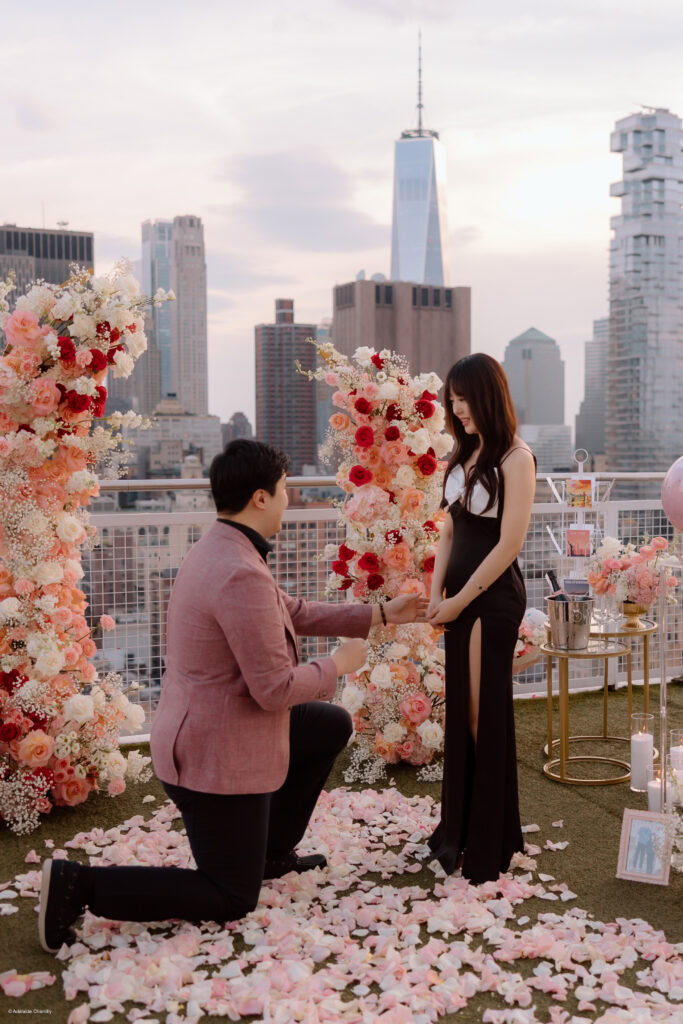NYC Rooftop Proposal
