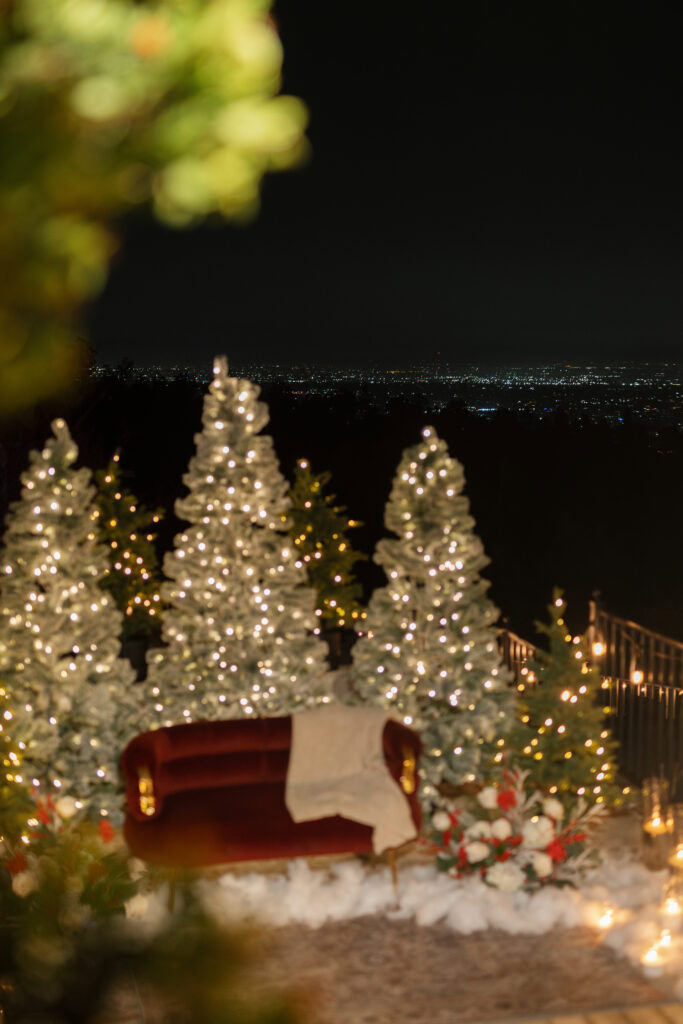 Winter Wonderland Proposal