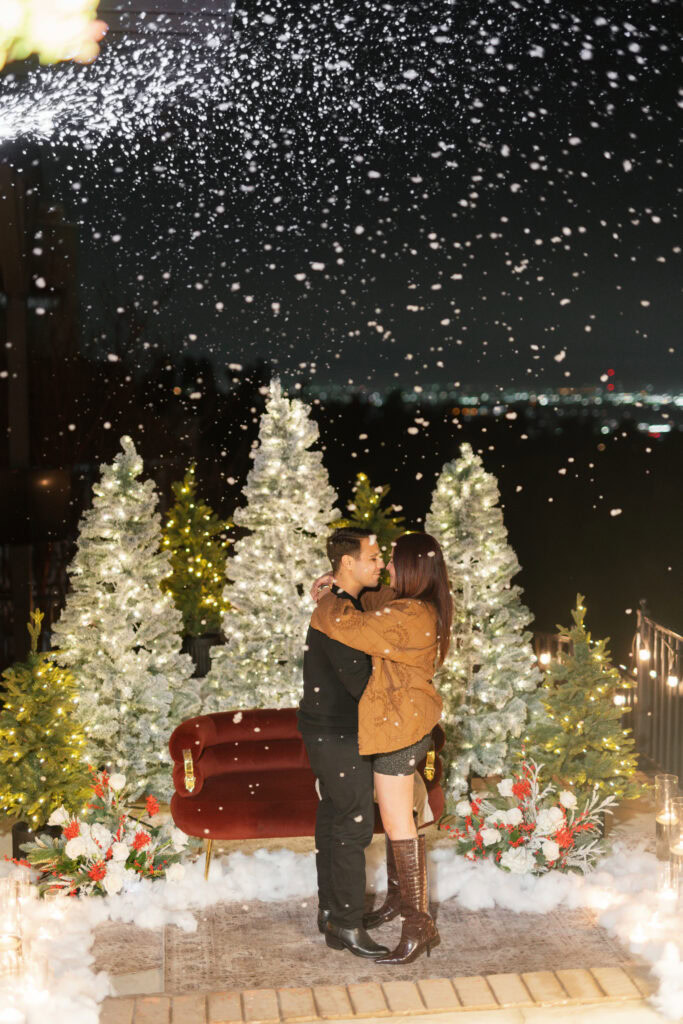 Christmas Proposal