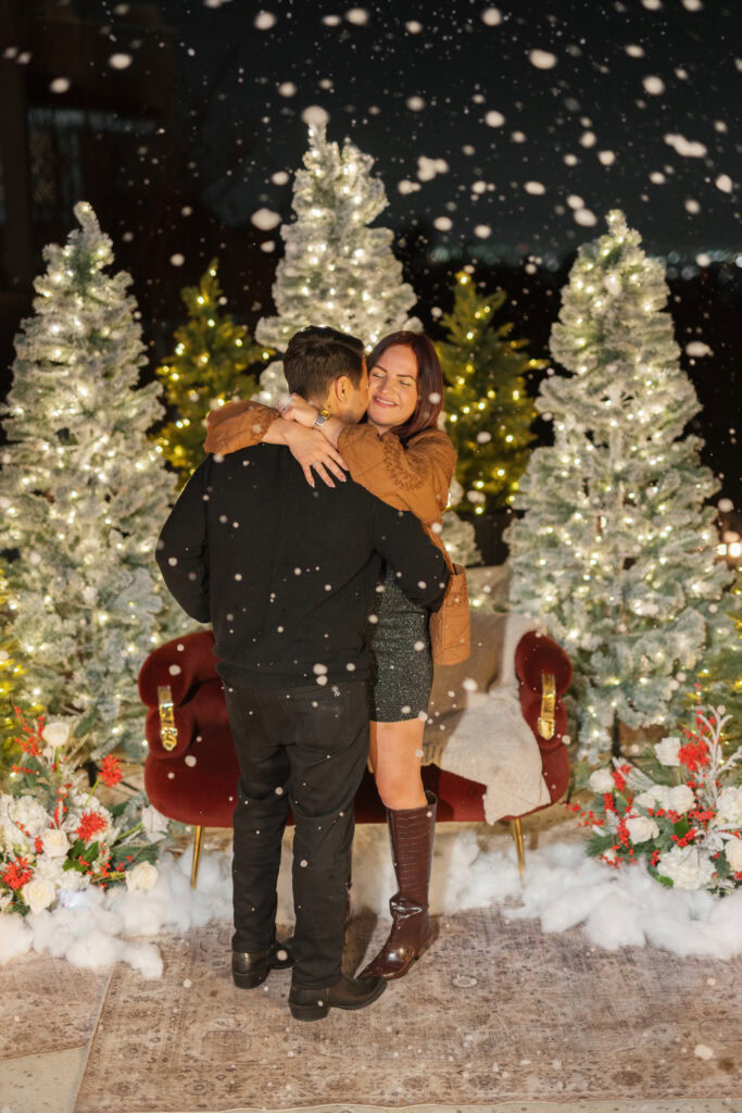 Snowy Christmas Proposal