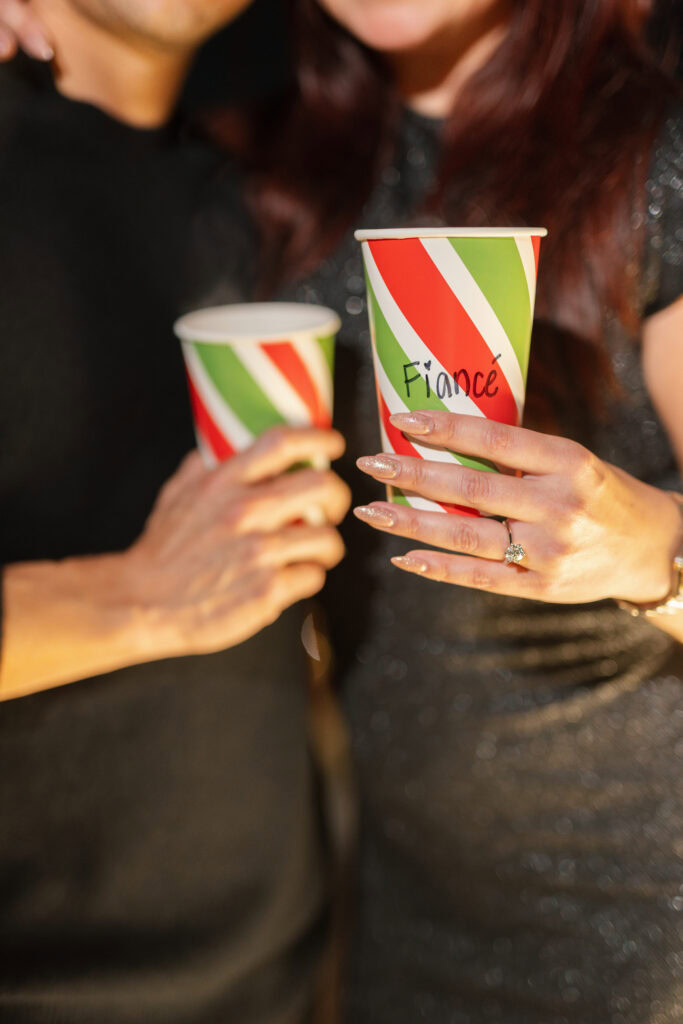 Magical Christmas Proposal